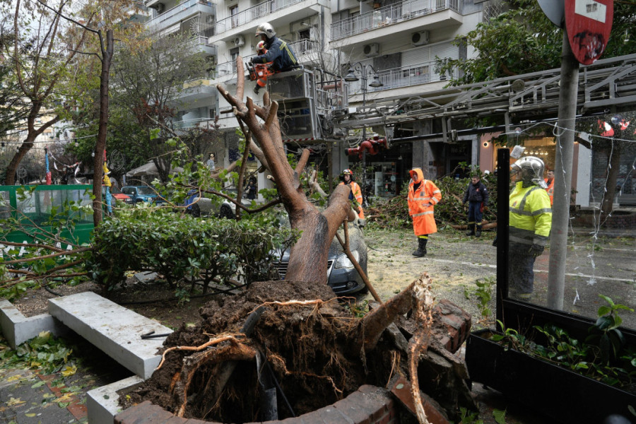 Omiljena letovališta Srba razorena: Uništeni putevi, nadvožnjaci, oborena stabla... Na Halkidikiju se očekuje novi udar (FOTO/VIDEO)