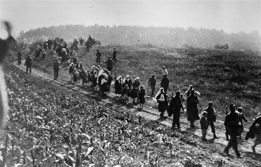 Nisu ustaše, Srbi su sami krivi za Jasenovac?