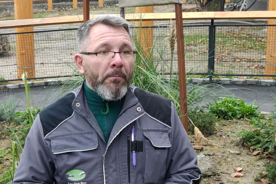 Šta je to obeležilo 2024. godinu u Beo zoo-vrtu? Sprema se raj za slonove, a stigla im je životinja poznata po "zagrljaju smrti" (VIDEO)