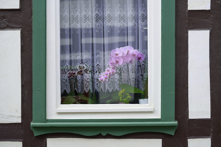 Trik za koji znaju samo iskusni cvećari: Evo kako da orhideja nikad ne ostane bez cvetova