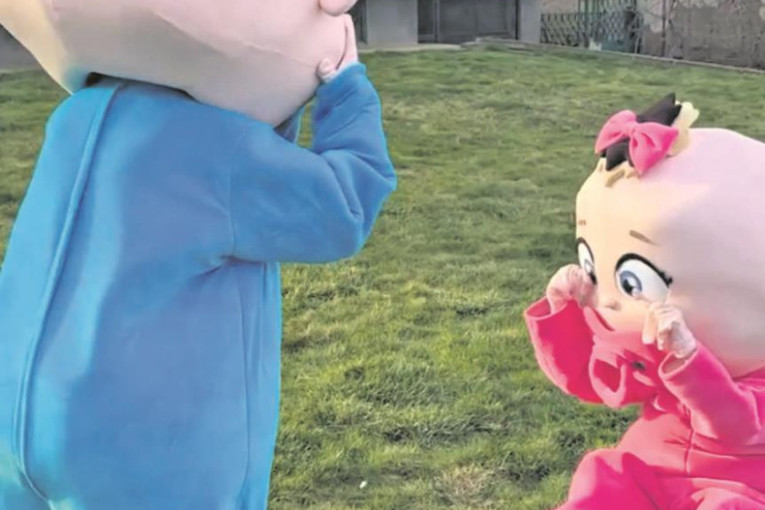 Bizaran trend zaludeo roditelje u Srbiji:  Za otkrivanje pola deteta počeli da iznajmljuju maskote beba koje se tuku