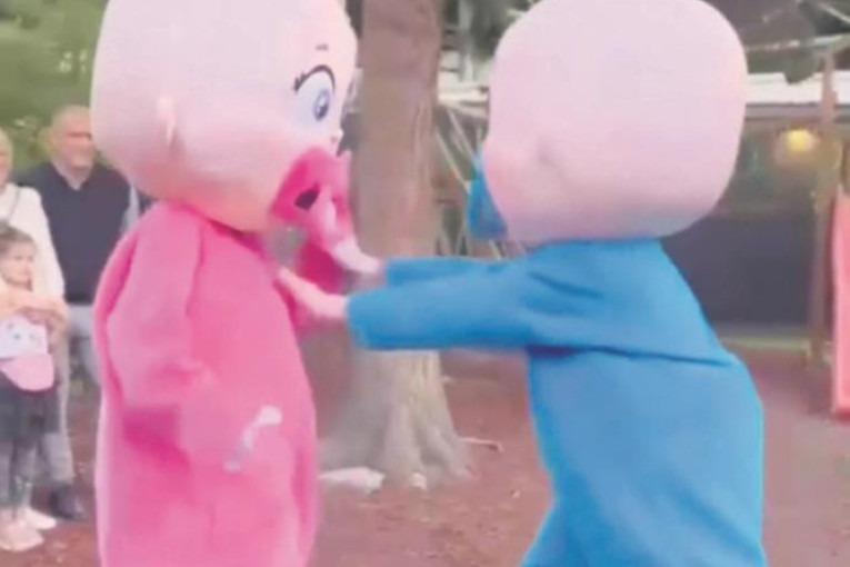 Bizaran trend zaludeo roditelje u Srbiji:  Za otkrivanje pola deteta počeli da iznajmljuju maskote beba koje se tuku