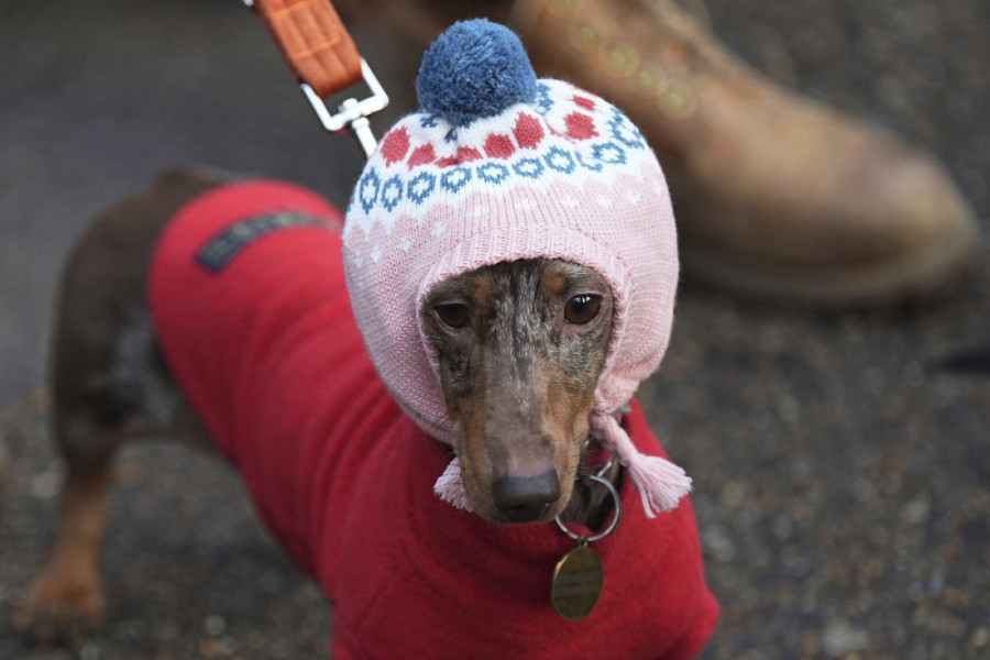 Najslađa parada koju ste ikada videli: Deda Mraz i jelke - samo su neki od kostima u kojima su "viršlice" prošetale Londonom (FOTO)