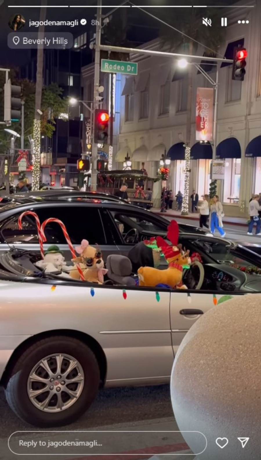 Malo Los Anđeles, malo Beverli Hils: Ovako se Jelisaveta Orašanin baškari u Americi, a od Teodosića ni traga (FOTO)