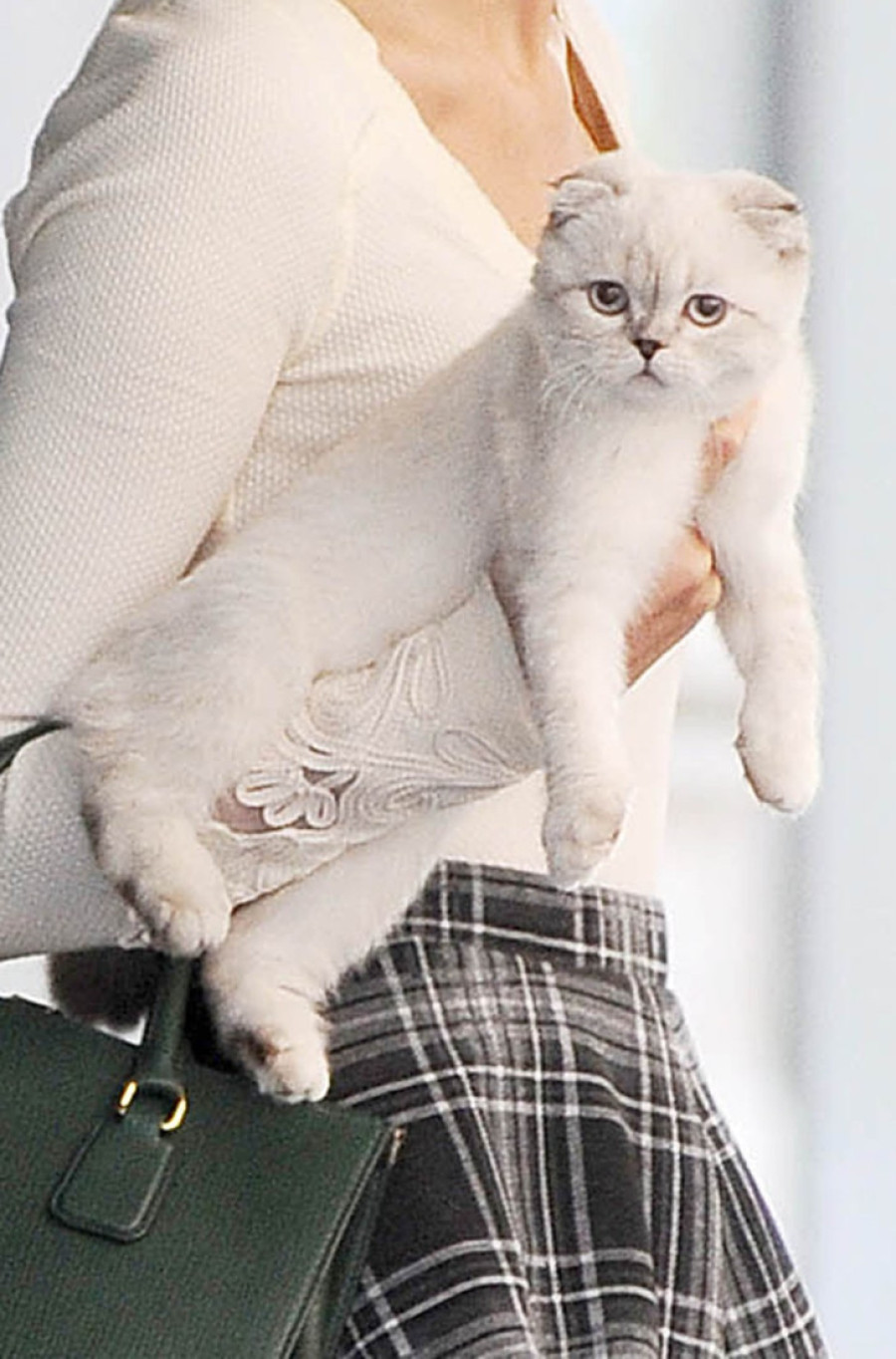 Upoznajte Oliviju Benson - najbogatiju mačku na svetu: Pripada poznatoj pevačici i ima više novca na računu nego većina poznatih ličnosti