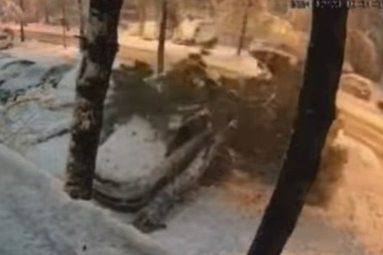 Drvo palo na prolaznika u Banjaluci: Drugi za dlaku izbegao nesreću (VIDEO)