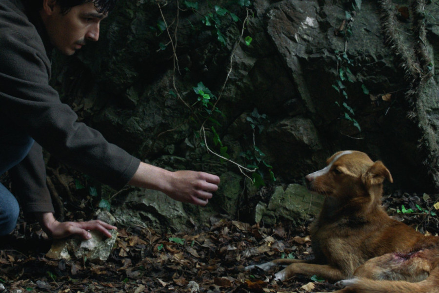 Smrt majke, povređen pas i put ka isceljenju: Domaći film "Vetre, pričaj sa mnom" nagrađen u Meksiku (FOTO/VIDEO)