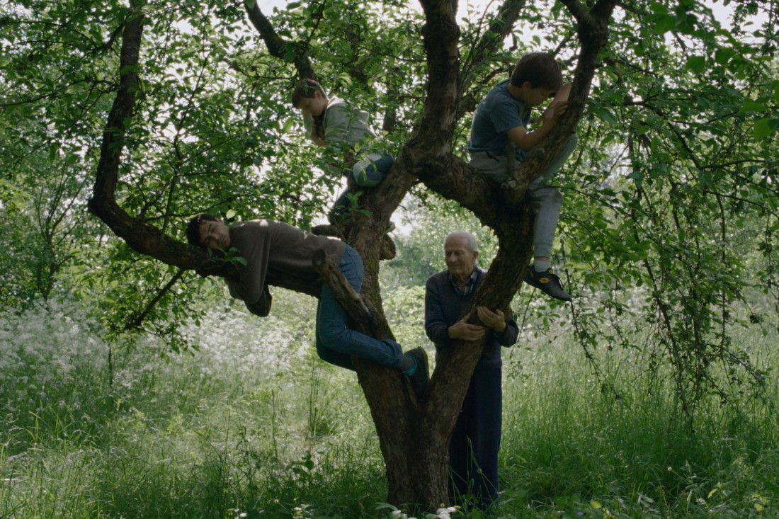 Svetska premijera domaćeg filma „Vetre, pričaj sa mnom“ u Roterdamu: Emotivna istinita priča o povratku kući nakon smrti majke (FOTO)