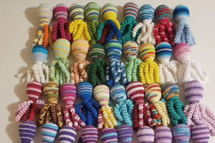 Vesna je jedna od žena koje heklaju hobotnice za prevremeno rođene bebe: Za 24sedam otkriva koliko im znače u prvim danima života