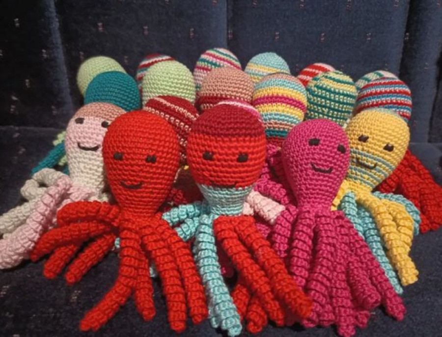 Vesna je jedna od žena koje heklaju hobotnice za prevremeno rođene bebe: Za 24sedam otkriva koliko im znače u prvim danima života