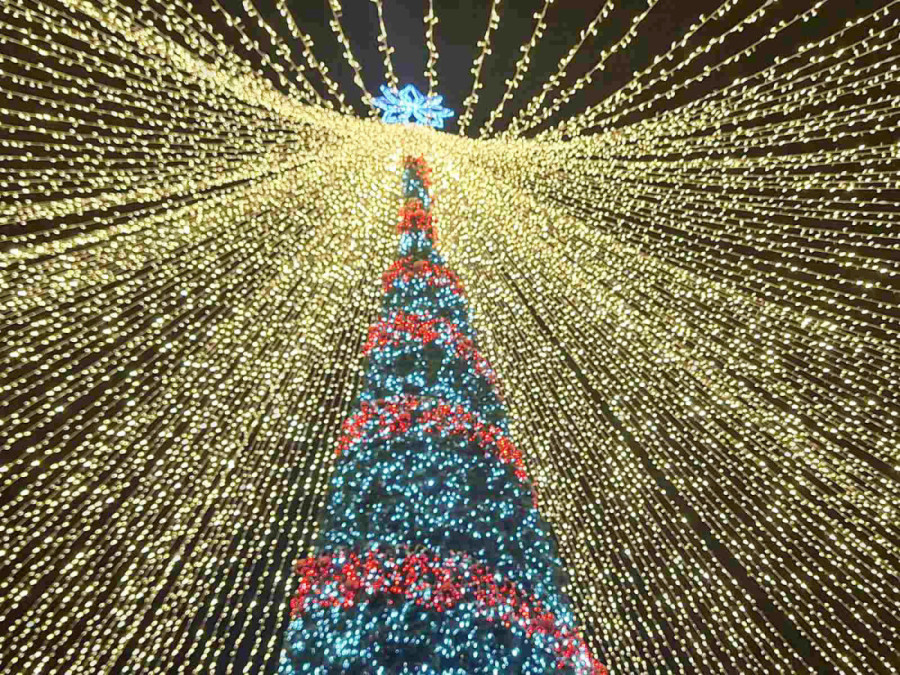 24sedam na božićnom marketu u Temišvaru: Najpopularniji praznični izlet - šta da očekujete i kako da maksimalno iskoristite dan (FOTO)