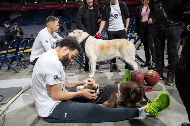 Partizan promoter akcije udomljavanja pasa: "Nema veće ljubavi od one koju dobijamo od njih" (FOTO/VIDEO)
