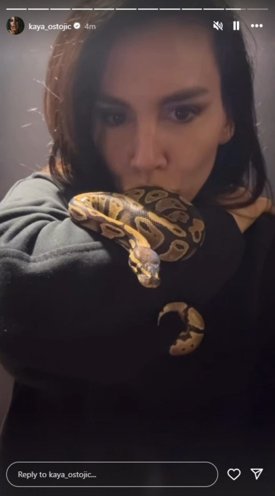 Suvi luksuz! Ovde Kaja Ostojić živi sa mužem: Versaće šolje, veliki kamin, a tu su i nesvakidašnji ljubimci!