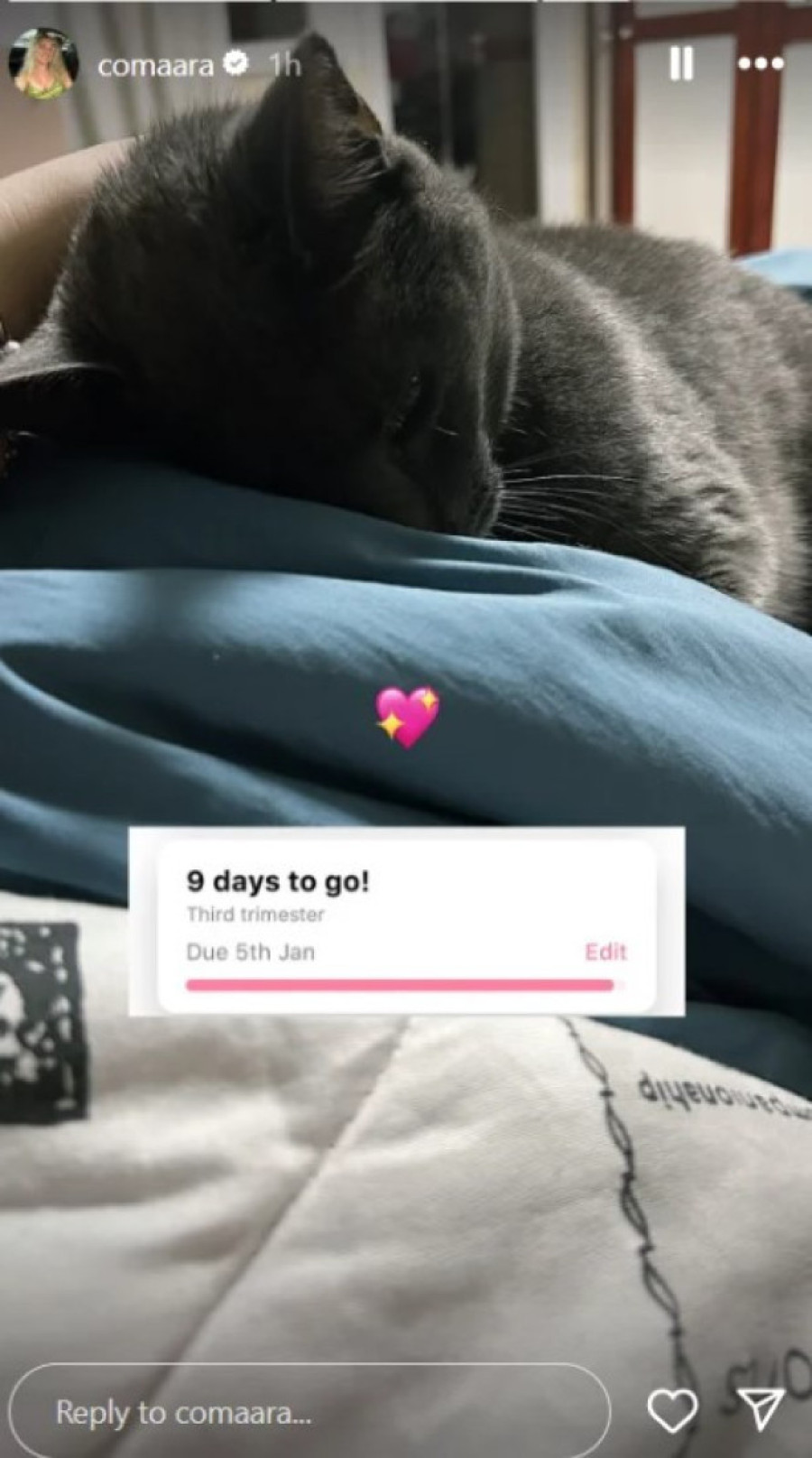 Milica Veličković broji sitno do porođaja! Mala Barbara uskoro dolazi na svet, novom fotkom raznežila sve