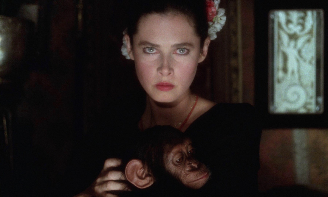 Preminula čuvena glumica i supermodel: Pronađena je mrtva u spavaćoj sobi