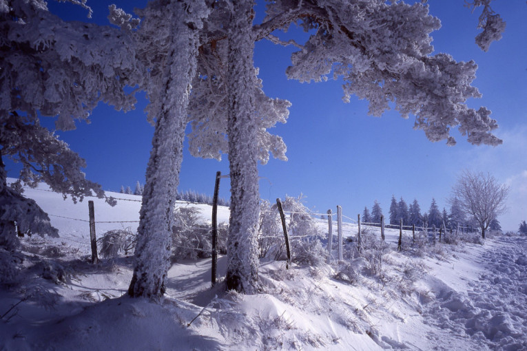 Stiže "ubica zime": Meteorolog Ristić najavio novi snežni talas i neobičan fenomen