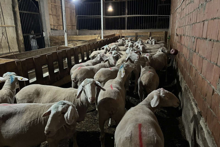 Iguman manastira Nimnik otkriva: "Nikada se ne posti na vodi subotom i nedeljom; kažu da su moje molitve čudne jer sam ih približio ljudima"