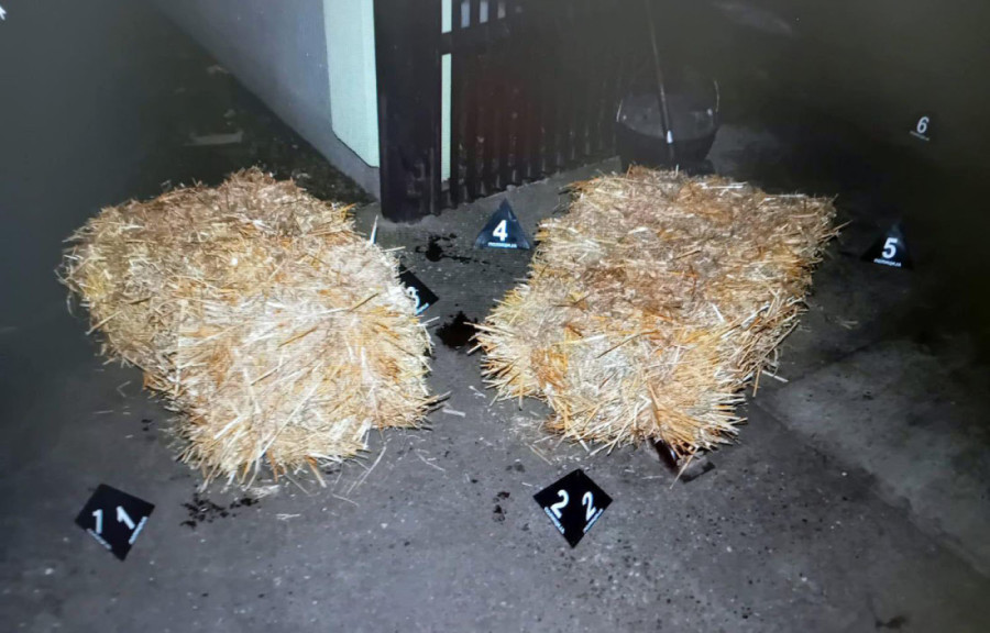 Trojica na slobodi! Zorana ubili sekirom ispred kuće, četvrti ostaje u pritvoru