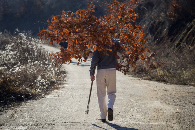 Otac bio pijan, za volan seo 12-godišnji sin: Šok na putu