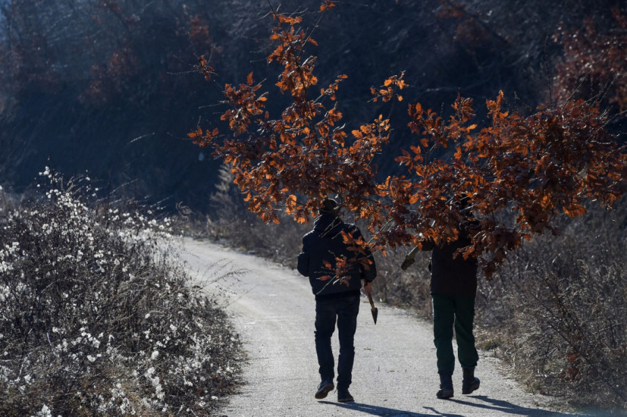 Srbija pod udarom snega i ledene kiše: Evo šta nas čeka danas!