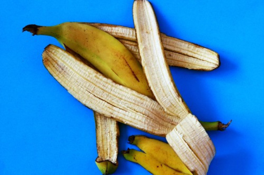 Trik za koji znaju samo iskusni cvećari: Evo kako da orhideja nikad ne ostane bez cvetova