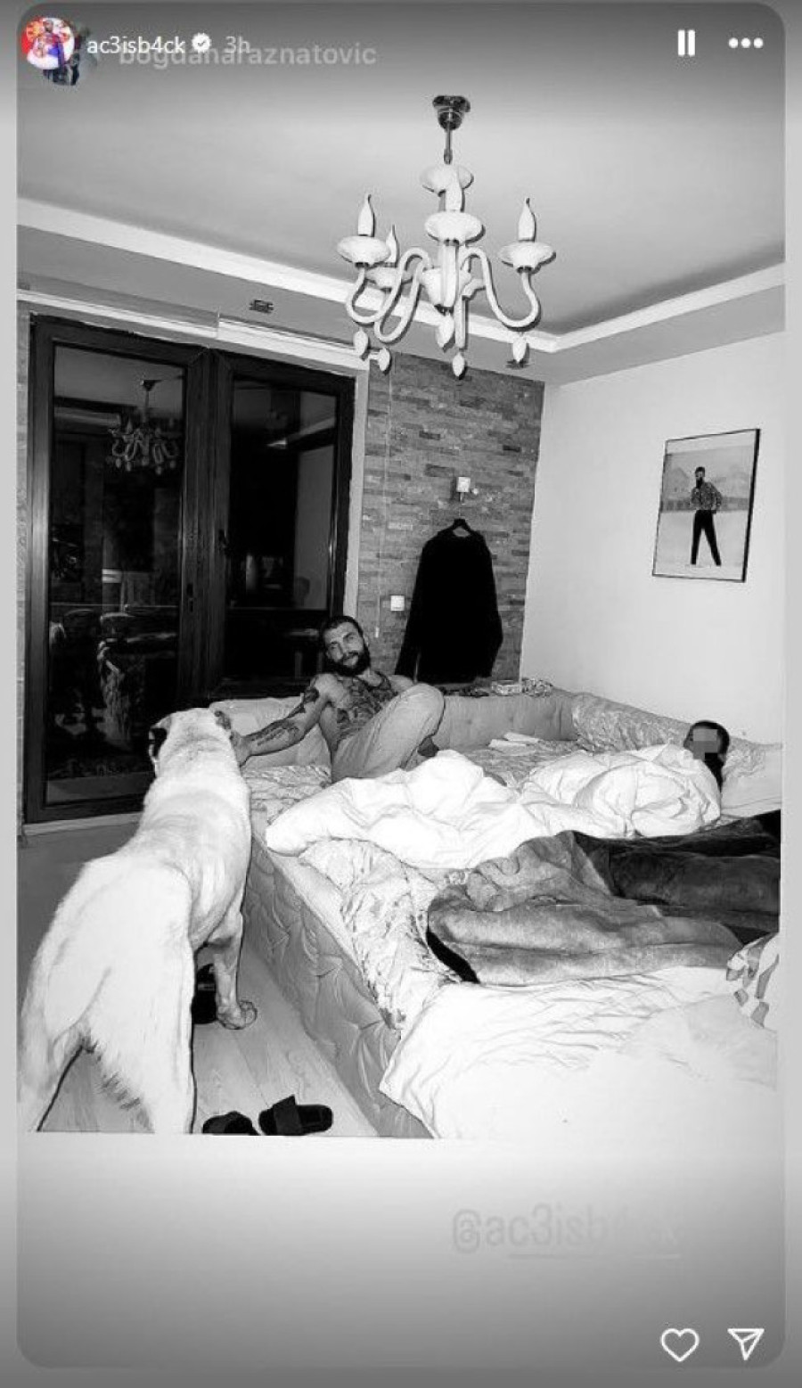 Veljko Ražnatović u nesvakidašnjem izdanju: Bogdana ga fotografisala kad se nije nadao (FOTO)