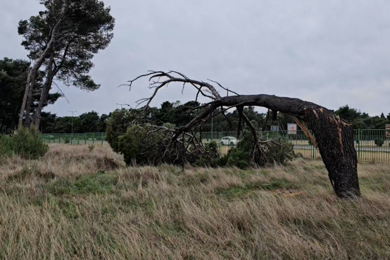 Silovit vetar pravi haos po Podgorici i primorju: Veliki požar izbio u naselju Zagorič (FOTO)