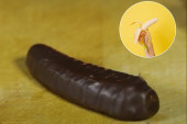 Misterija popularnog slatkiša: Zašto bananice nemaju ukus prave banane?