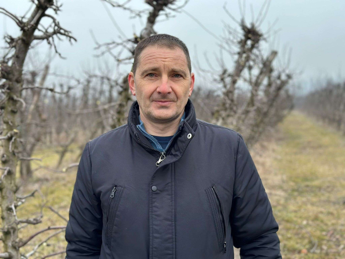 Zimska rezidba voća u punom jeku: Ovo su smernice za pravilno orezivanje