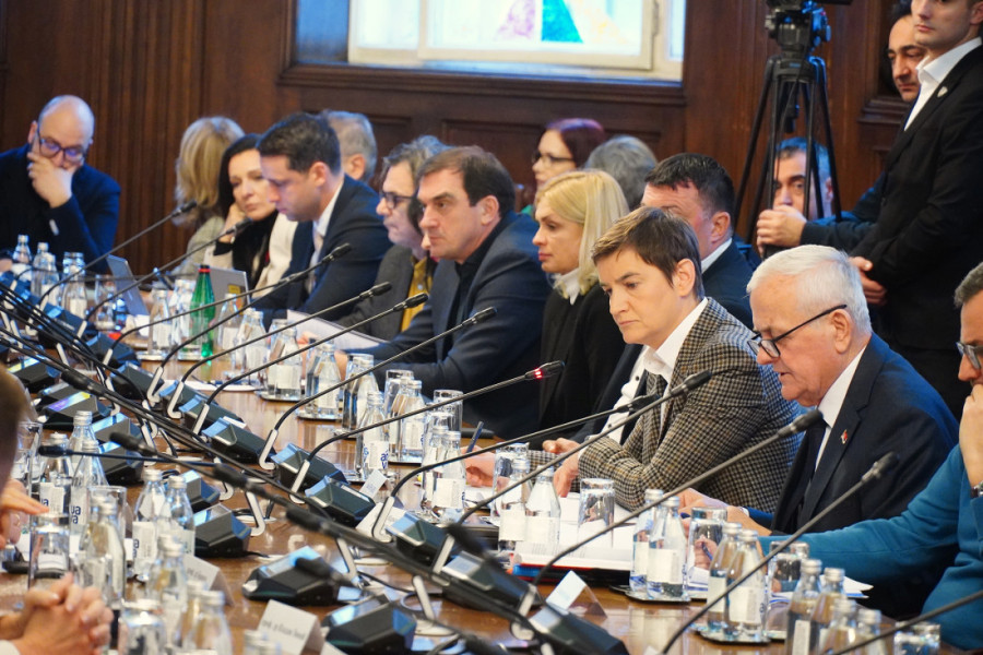 Sednica Odbora za obrazovanje - Brnabić: Studenti u problemu, zbog blokada postoje tri pretnje (VIDEO)