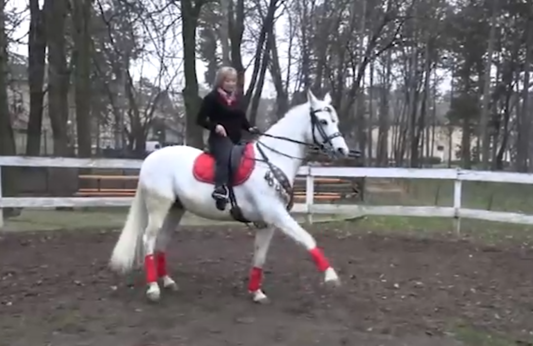 Iz Sočija zbog ljubavi došla u Srem! Ruskinja dovela i svog konja