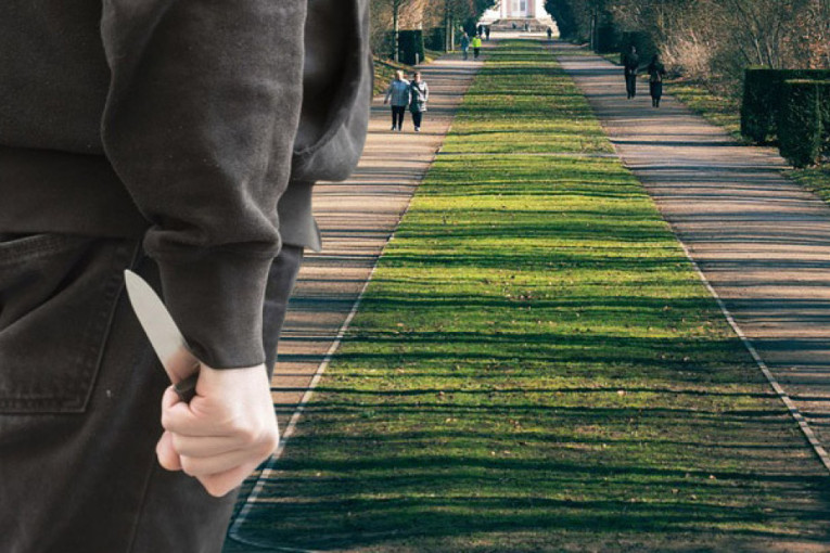 Ukrajinka ukrala "Uspenje": Pohapšeni lopovi iz galerije (FOTO)