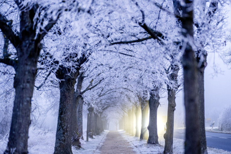 Alarm u Nemačkoj: Raste nezaposlenost, posao sve teže naći!