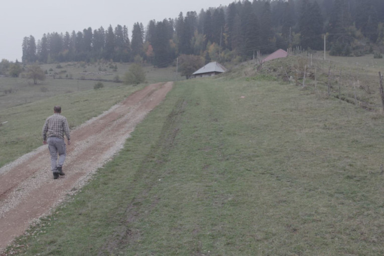 Za jedne ukleta, za druge čarobna! Ova šuma u srpskom selu krije mračne tajne (FOTO)