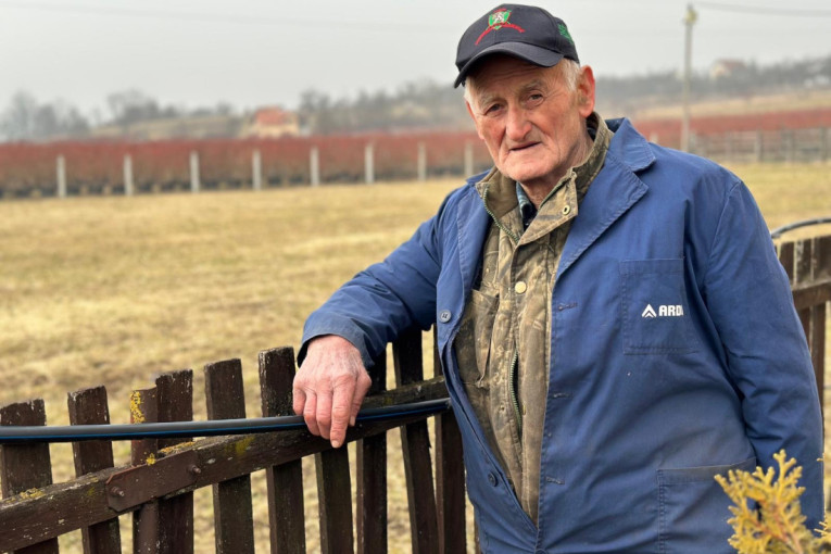 Milorad (80) iz sela Trnava ne odustaje od rada! Uzgaja "plavo zlato", koje traži posebnu pažnju (FOTO)