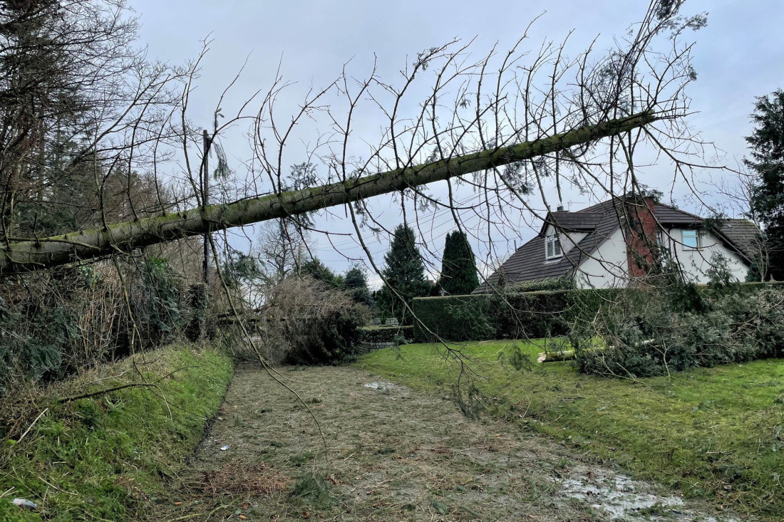U zamrzivaču pronađena tela dve bebe! Horor u Francuskoj