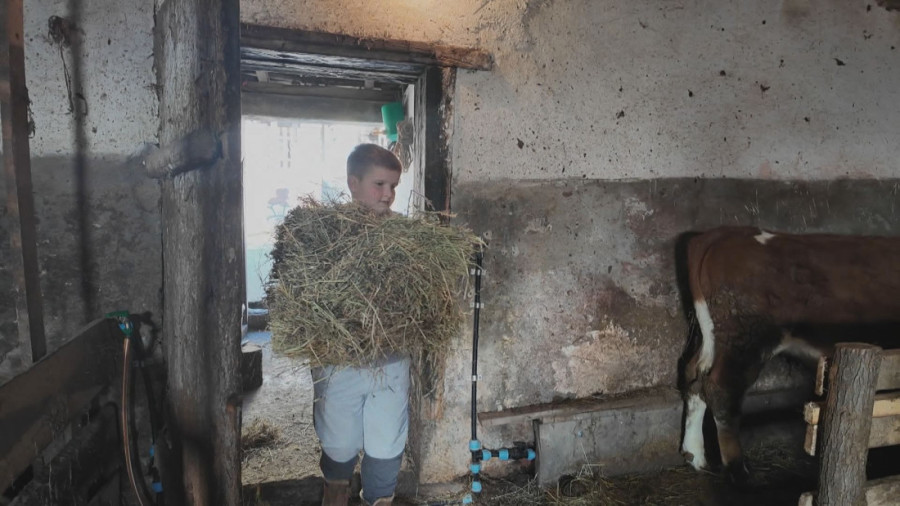 Pokazuje da će biti veliki čovek i domaćin! Nikola svira harmoniku, ali njegov cilj će vas iznenaditi  (FOTO)