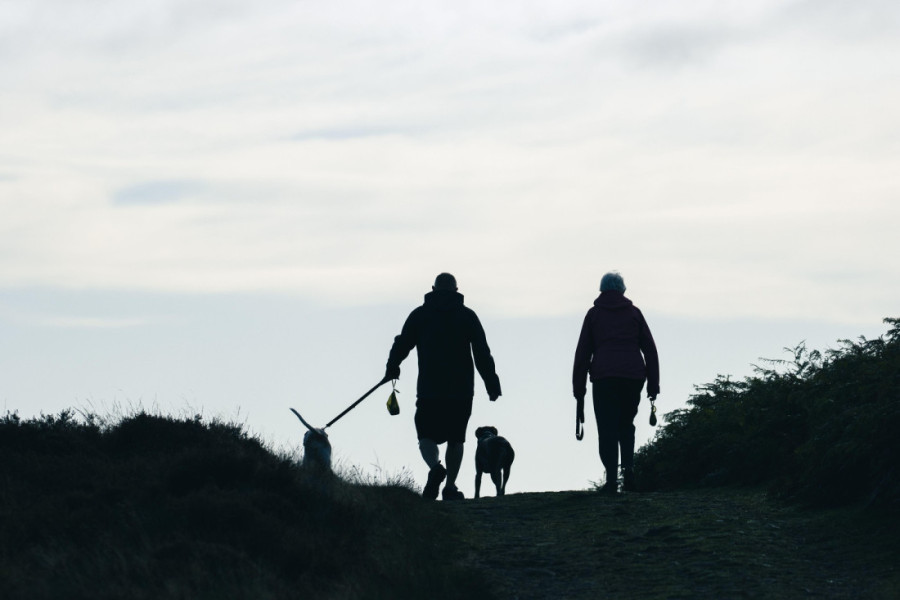 Nedeljni horoskop od 24. februara do 2. marta: Lav ulazi u emotivnu fazu, dok se Škorpija suočava sa poslovnim izazovima
