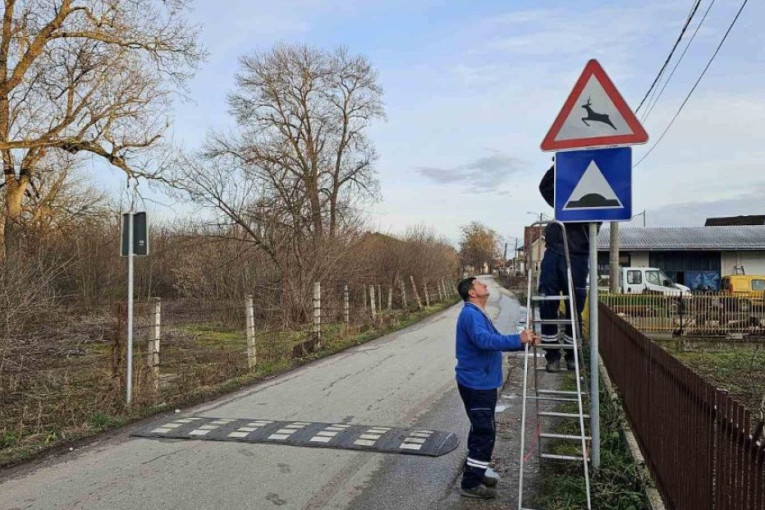 Srne se odomaćile u staroj kasarni: Divlje životinje u begu od pasa lutalica izleću na ulice