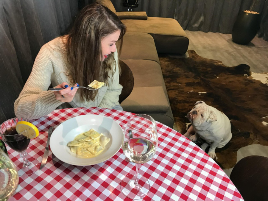 Pas će vam biti zahvalan ako prestanete da mu dajete ovu namirnicu: Deluje bezopasno, a izaziva ozbiljne probleme