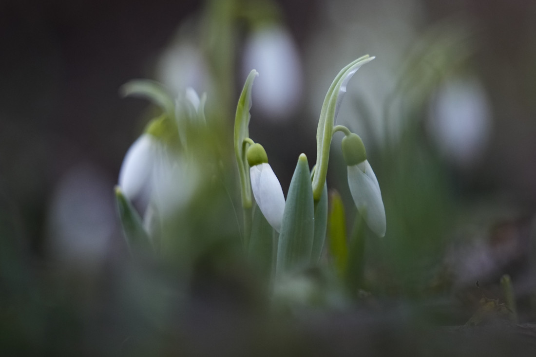 U jutarnjim satima mraz, popodne više sunca: Danas do 9 stepeni