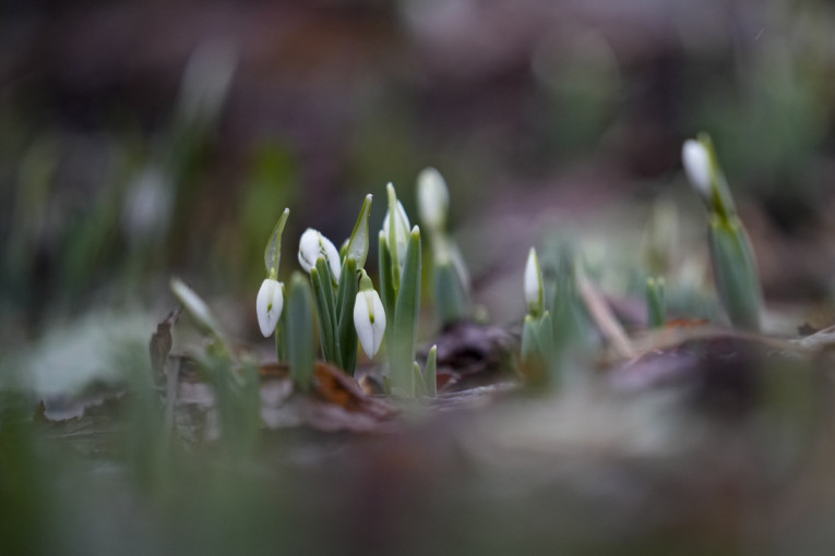 U jutarnjim satima mraz, popodne više sunca: Danas do 9 stepeni