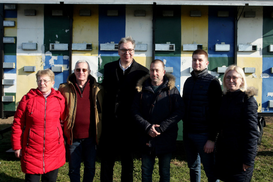 Vučić: Država će stati na put uvoznom lažnom medu, pčelari mogu da računaju na pomoć!