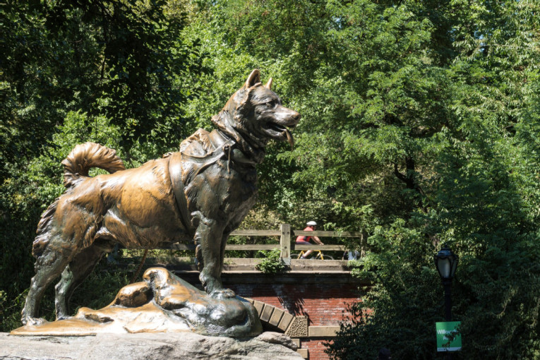 Bila je snežna oluja i -40: Kako je Balto, pas-heroj, spasio gradić na Aljasci od epidemije (VIDEO)