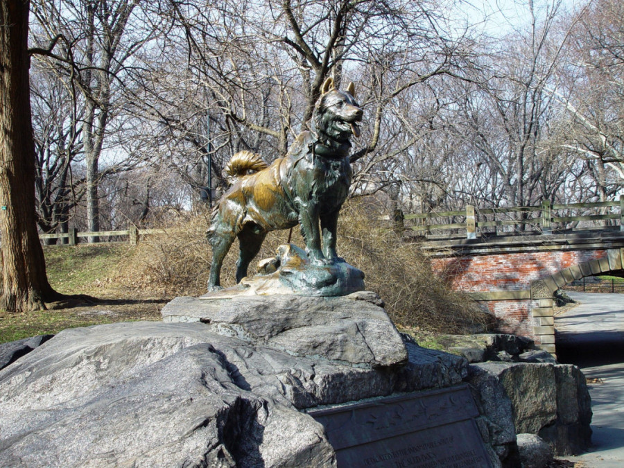 Bila je snežna oluja i -40: Kako je Balto, pas-heroj, spasio gradić na Aljasci od epidemije (VIDEO)