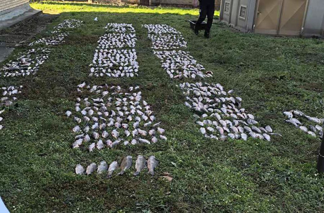 Lovi u mutnom po kanalu: Bečejac uhvaćen sa 280 kilograma ribe (FOTO)