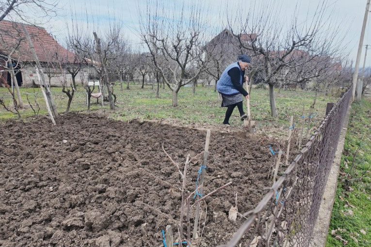 Ima 90 godina, a sama okopava baštu i sređuje dvorište: Baka Radosija pravi je zmaj i kaže - rad mi daje snagu (FOTO)