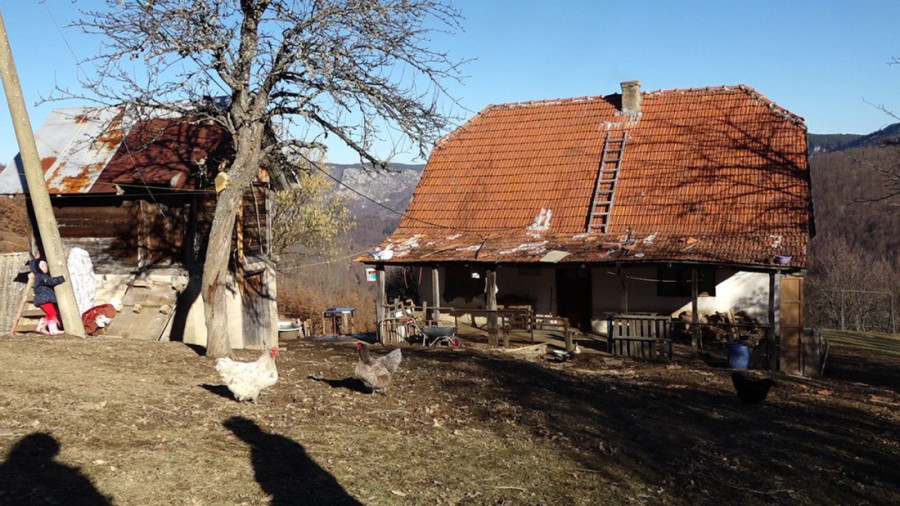 Tamara i Nemanja su se vratili iz grada na selo: Na konju su vodili decu kod doktora, kroz sve teško ih vodi jedan san