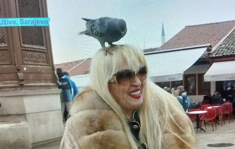 Našu pevačicu napali golubovi: Usred uključenja uživo joj sleteo na glavu, njena reakcija nasmejala čitavu naciju