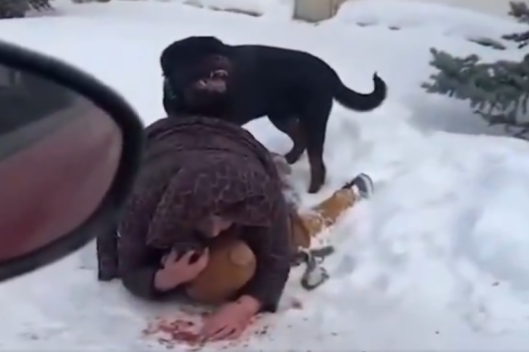 Rotvajler napao dete, majka se bacila preko njega da ga zaštiti: Sneg postao crven od krvi, niko nije mogao da joj pomogne (VIDEO)